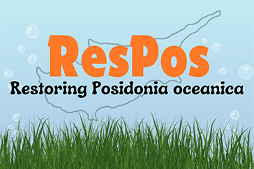 A poster for the Cyprus team that works on Restoring Posidonia oceanica meadows (ResPos).