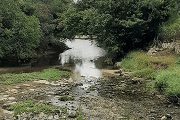 The Vallina river flowing through a forest in Llanes, Spain.