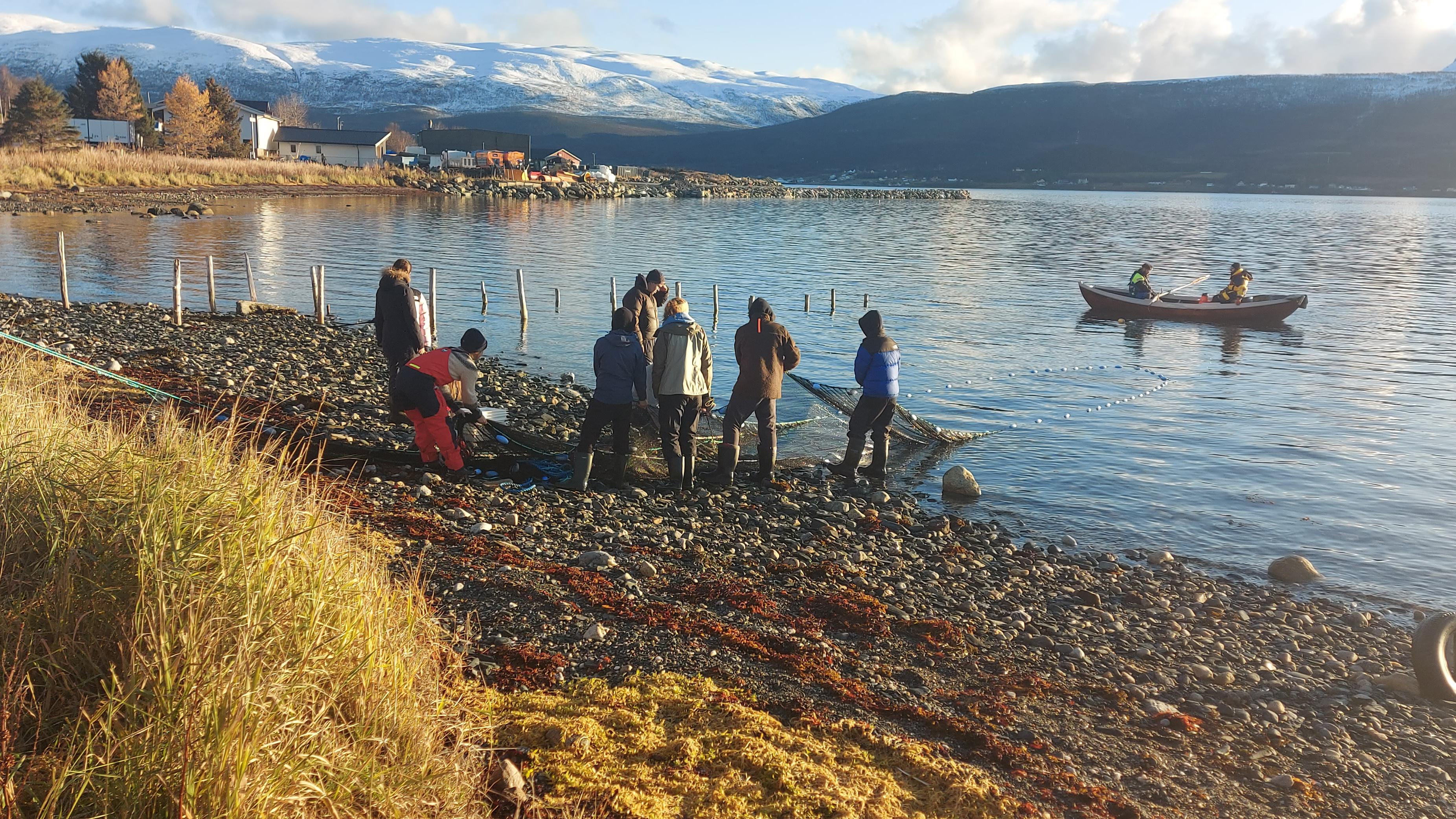 Local fishermen in Troms, Norway mapping historic wolffish hotspots and kelp forest habitats to guide restoration planning.
