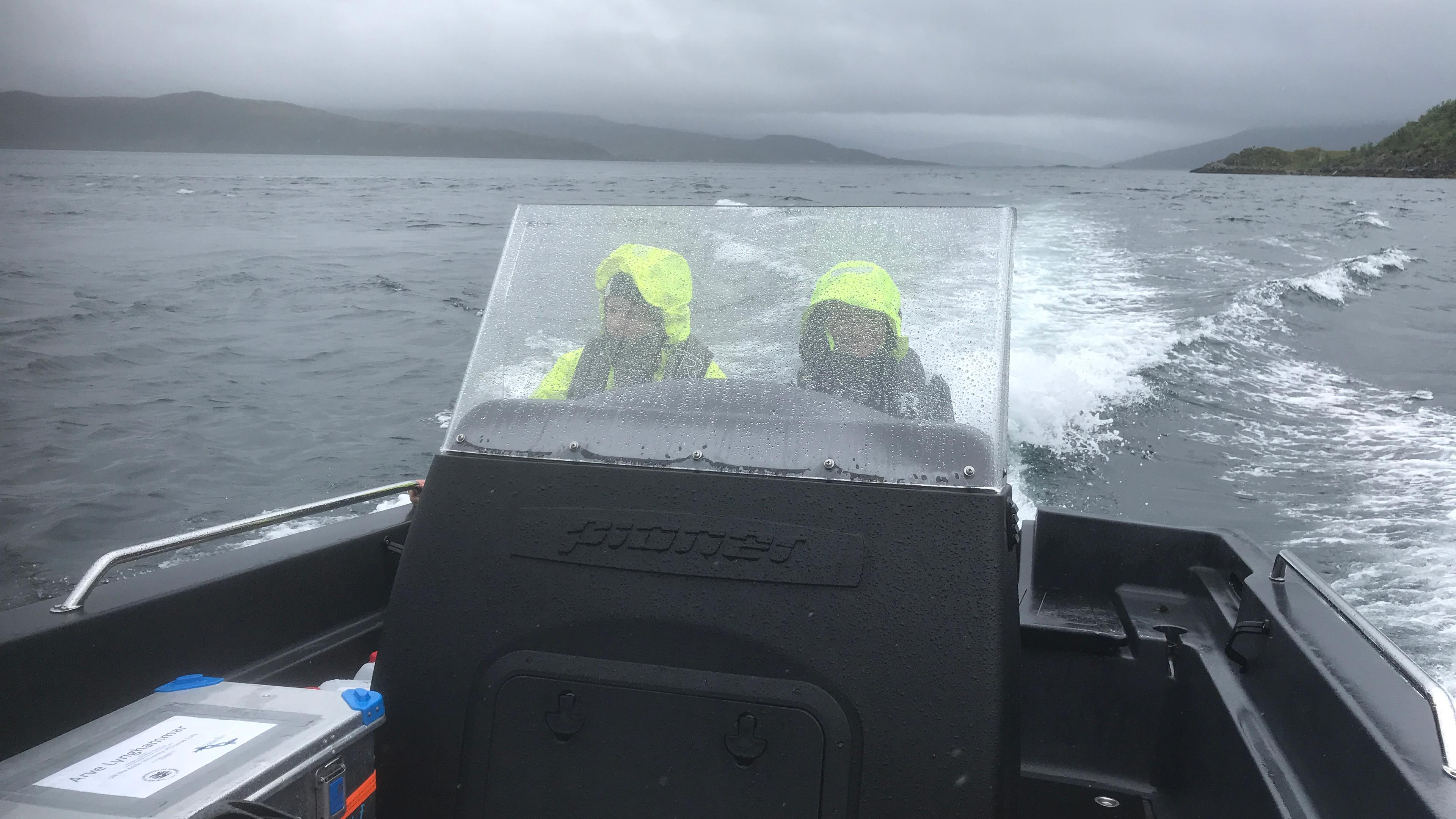 Scientist conducting eDNA sampling in Troms coastal waters to map the current distribution of Atlantic wolffish.