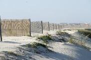 Restored sand dunes with native vegetation and fencing protecting Portugal’s Centro Region coastline from erosion.