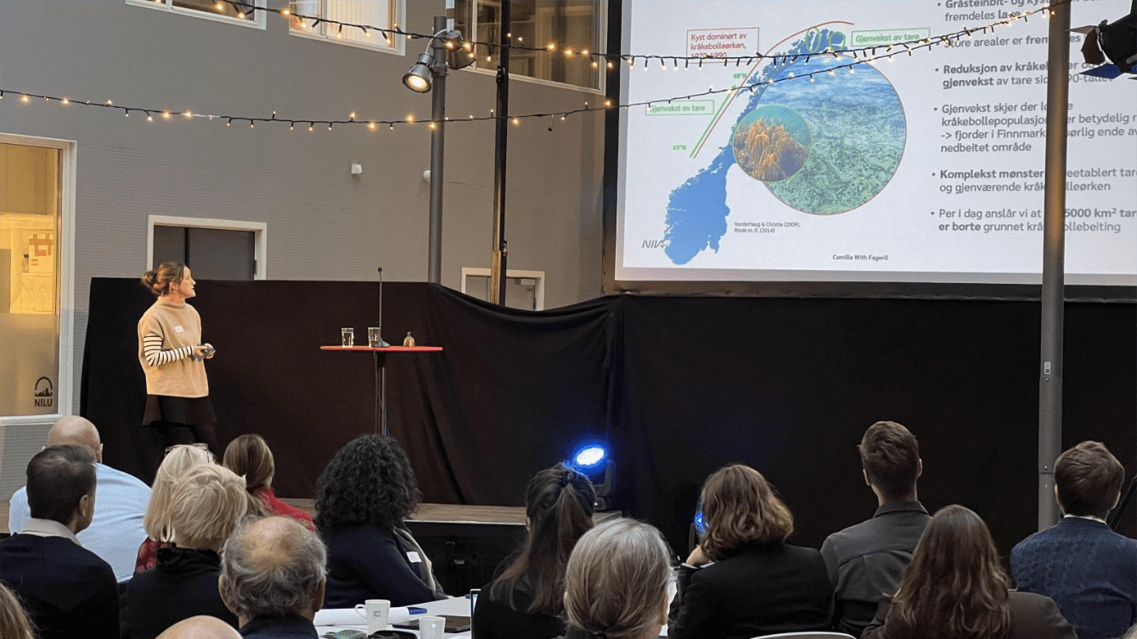 Community workshop in Troms, Norway coordinating kelp forest restoration initiatives with local fishers and coastal stakeholders.