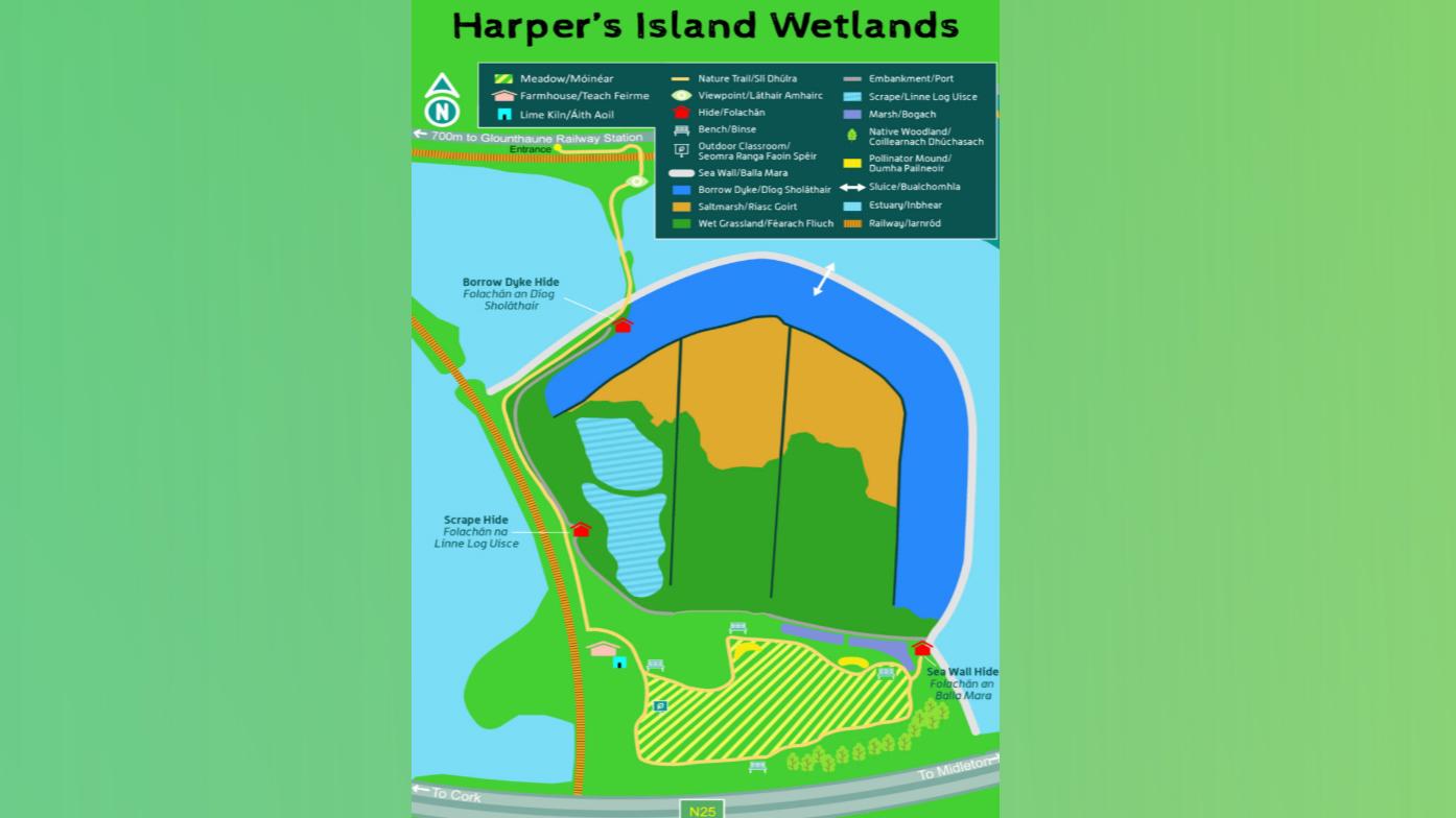Wetland restoration planning map showing habitat zones and protective buffer areas in Ireland