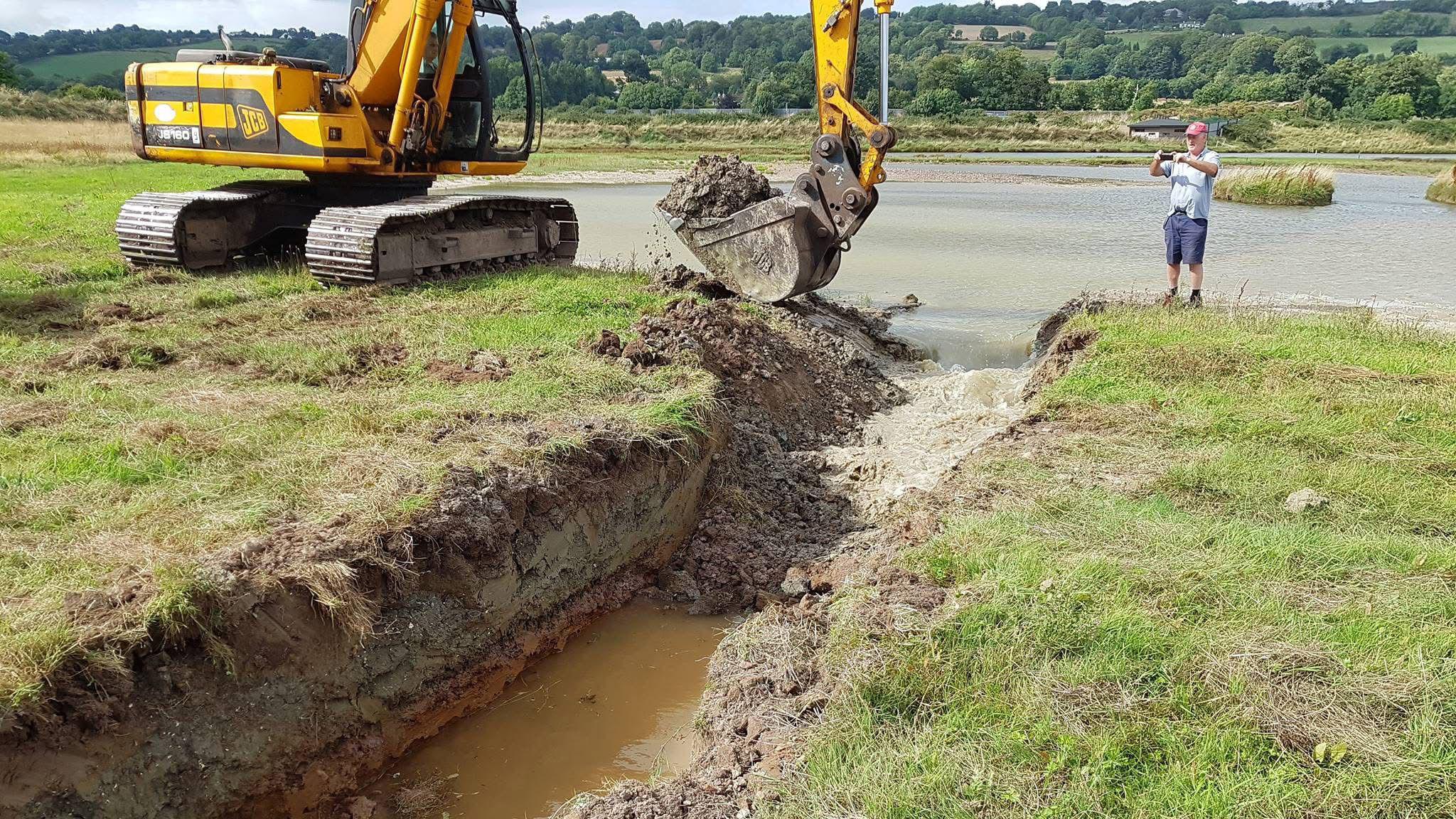 Volunteer helping construct infrastructure to support wetland restoration and biodiversity in Ireland